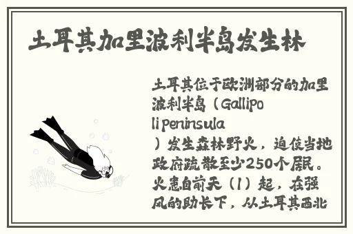 金 梅1990